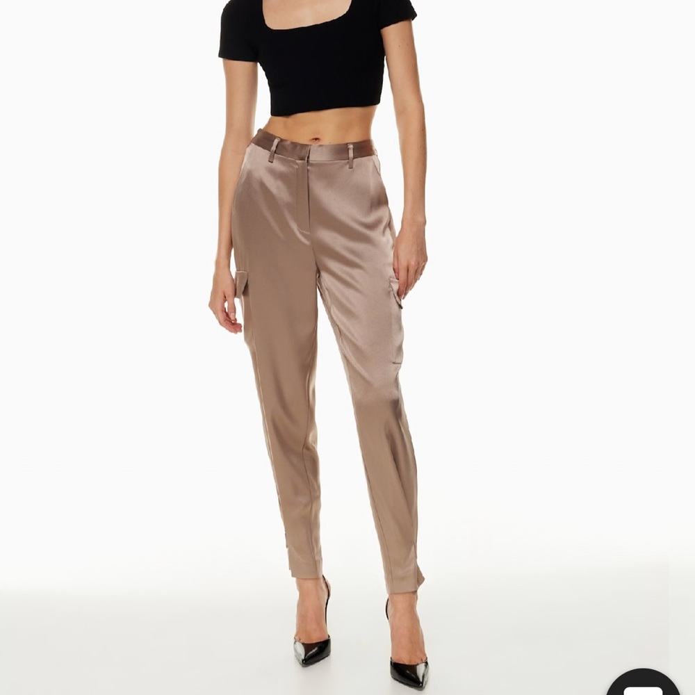 Aritzia Refined Satin Cargo Pant